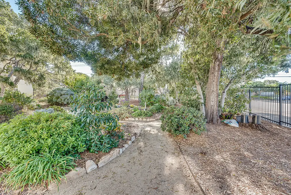 Outdoor Pathway Outdoor Pathway